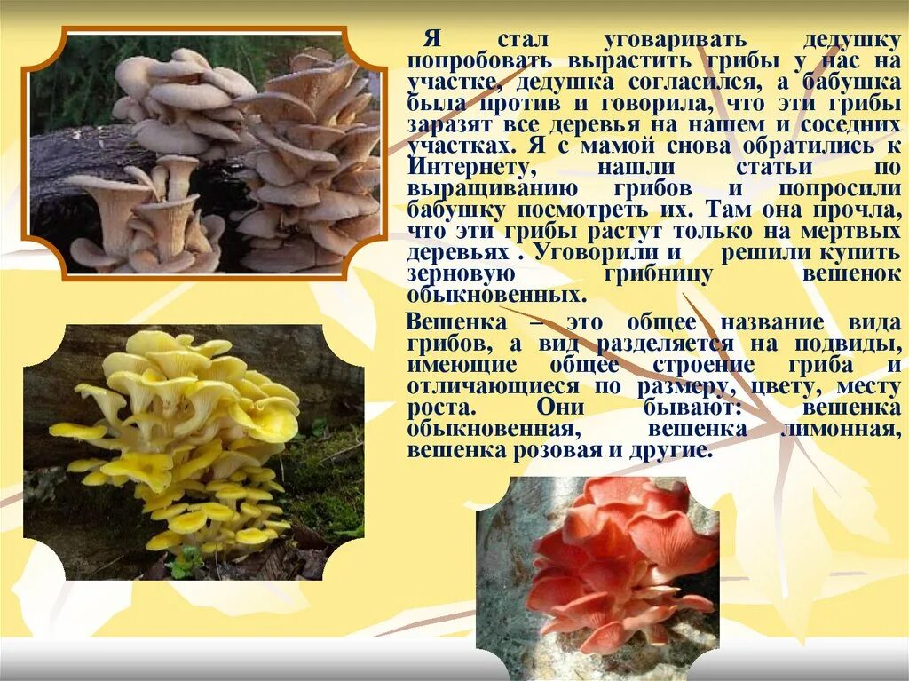 Опишите внешний вид и строение культивируемых