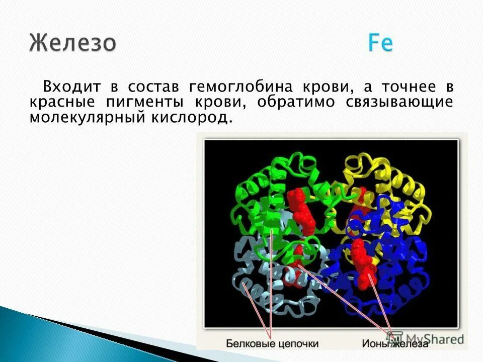 Ионы железа входят в состав гемоглобина крови. В состав гемоглобина входит. Ионы в гемоглобине.