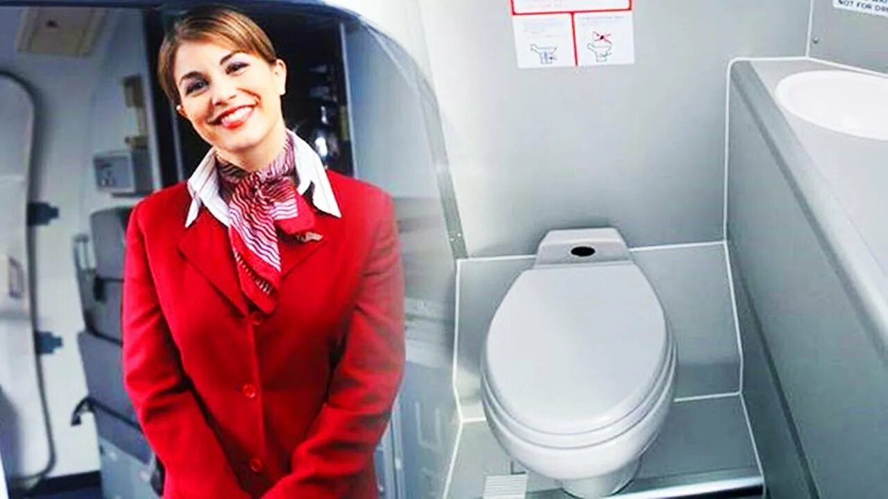Бывает туалет. Красивая девушка в туалете. Девушка в туалете самолета. Туалетная девушка. Женский туалет в самолете.