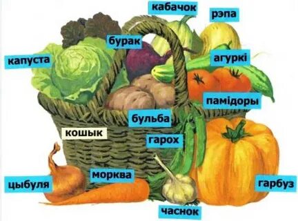 Падрыхтоўка да экзамену па беларускай мове