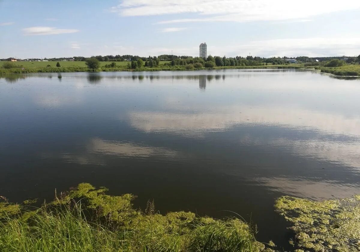 Ставок водоем. Продам пруд. Воскресенск река медведка. Продам пруд. Водоёмы в рузском районе.