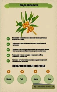 Можно ли есть облепиху при диабете
