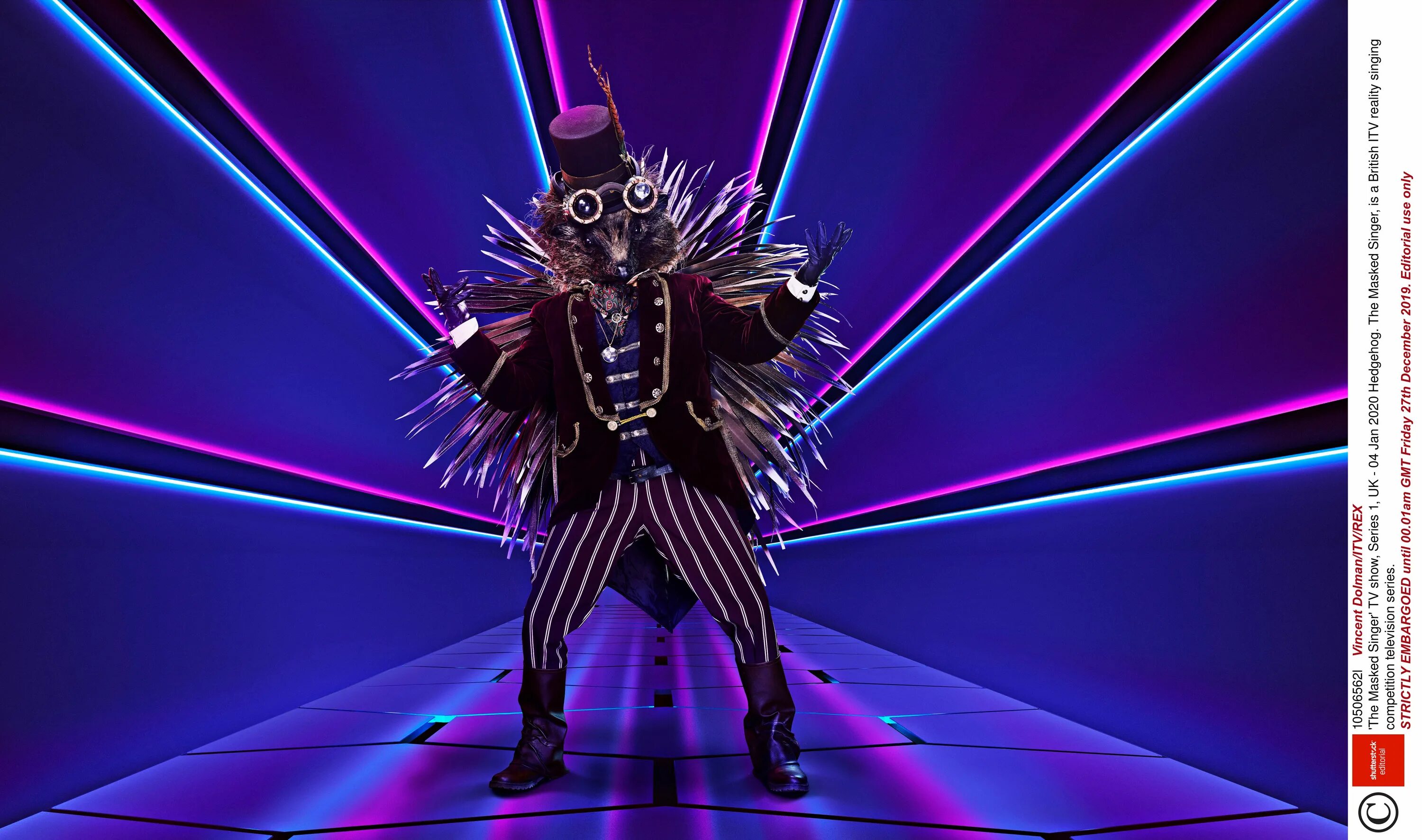 Кто в еноте шоу маска 5. Маскед Сингер. The masked Singer шоу. Шоу маска Дикобраз. The masked Singer uk the Hedgehog.