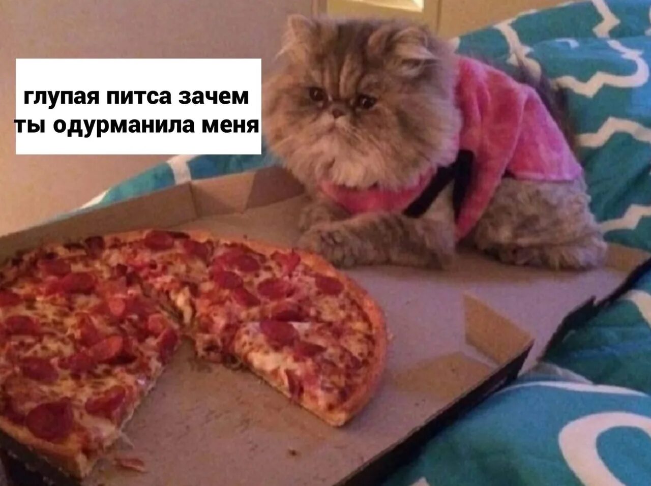 Сделай пиццу которая раскрывает судьбу. Сделай пиццу которая раскрывает судьбу