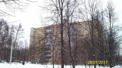 Пушкино дзержинец