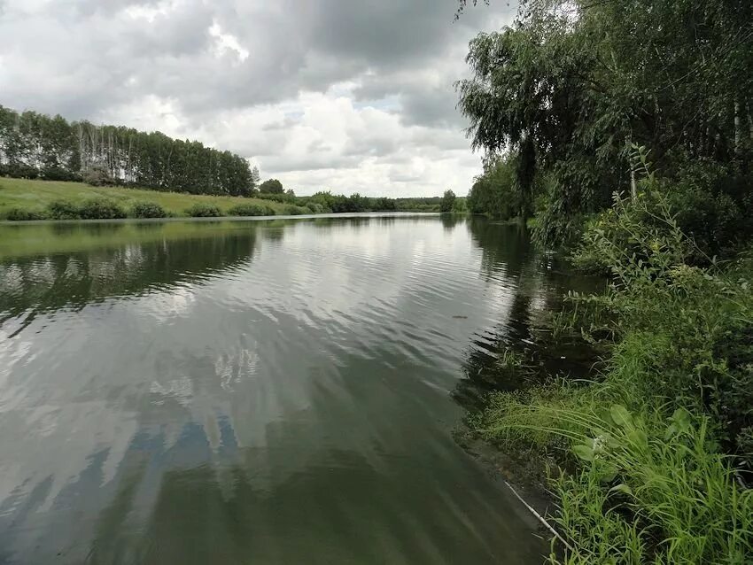 пруды тамбов. чистые пруды моршанск беседки. село арапово тамбовская область. перевоз ул набережная фото тамбовская обл. пруд корцево тамбовская область.