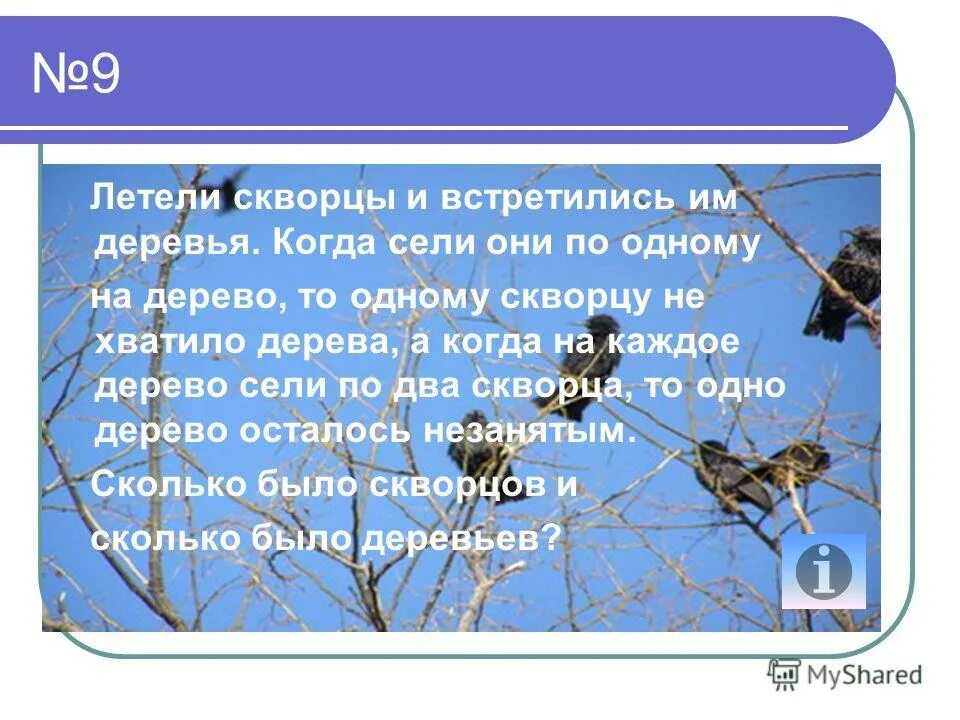 Скорость полета птиц. Скорость полёта перелетеых птиц. С какой скоростью летит скворец. С какой скоростью летит скворец. Ласточка птица скорость полета.