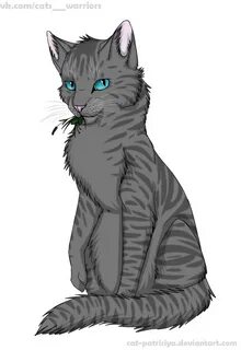 Серые коты воители