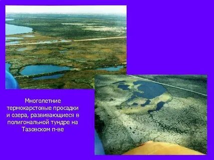 Термокарстовые блюдца