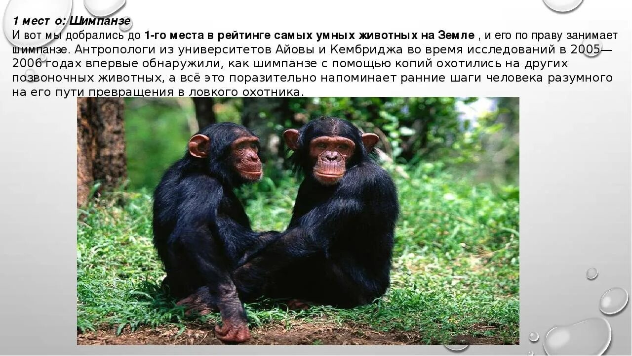 Напоминает раннего