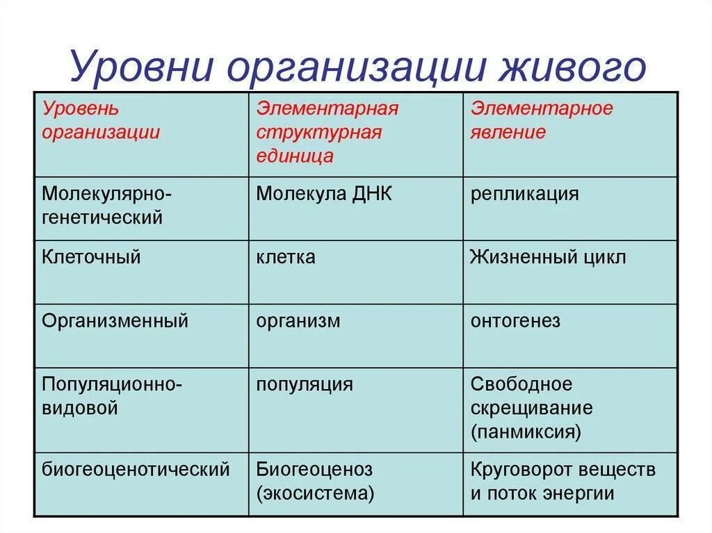 Уровни организации живых организмов биология таблица. Уровни организации живого 5 класс биология. Уровни организации живой материи таблица. Уровни организации биологических систем таблица. Последовательность уровня организации живого