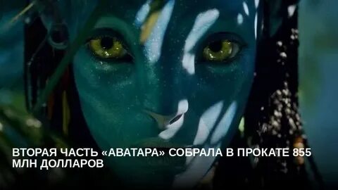 Аватар собрал денег
