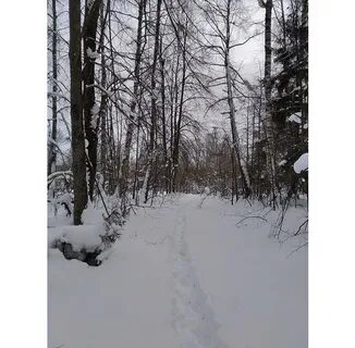 Неясный путь