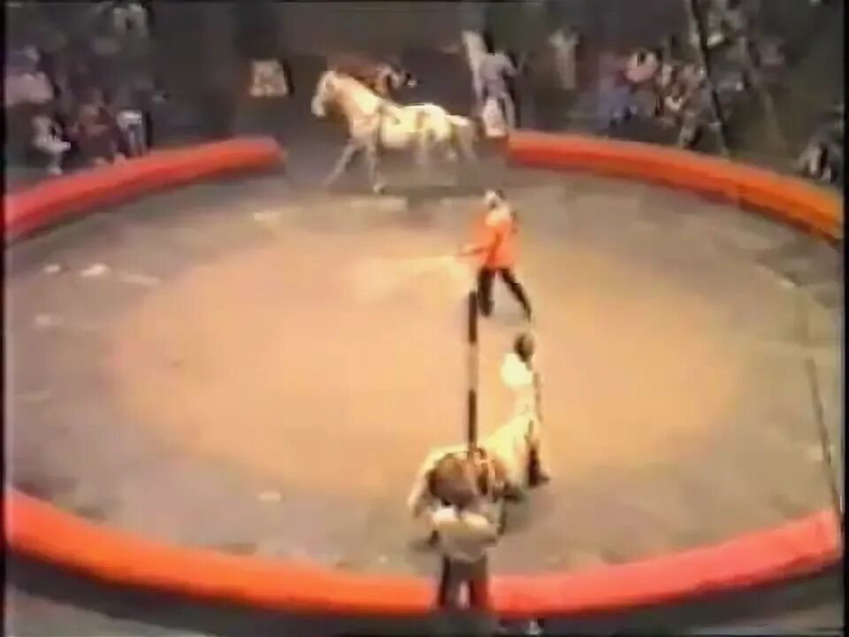 Стежка вероника цирк. Песня о циркаче. Циркач трейлер на русском. Песня о циркаче. Песня о цирке ноты.