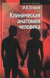 Клиническая анатомия