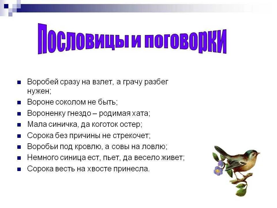 Текст про птиц 5 класс. Пословицы про зимующих птиц для детей. Пословицы о птицах для дошкольников. Пословицы и поговорки о зимующих птицах. Пословицы и поговорки про воробья.