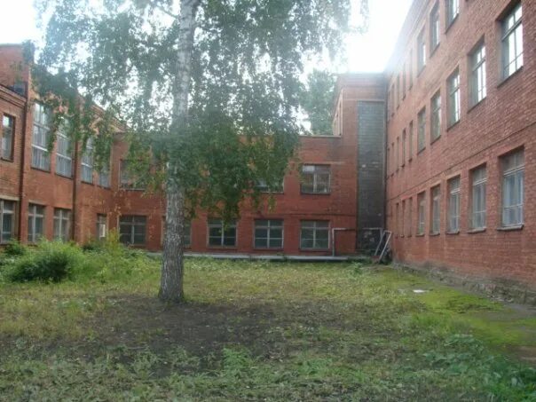 Школа дети омск