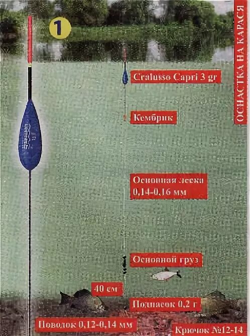 Ловить карася в июне на поплавочную удочку. Оснастка поплавочной удочки на карася. ловля карася на поплавок летом на прудах. клёв карася летом на поплавочную удочку. ловля карпа на поплавочную удочку.