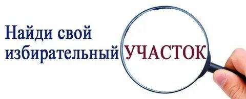 Выборы по месту проживания
