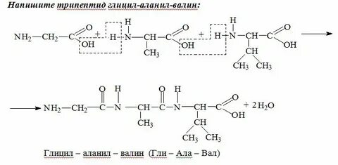 Прописаны схема