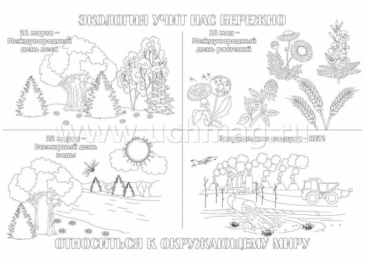 Раскраска сохрани природу