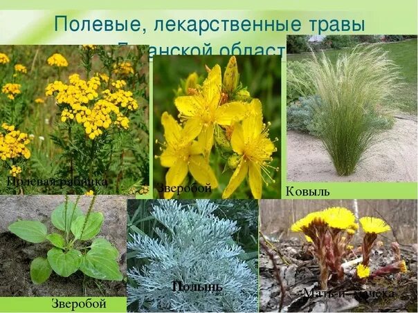 #медицина #болезни #лечениеболезней #здоровье #лекарственные_препараты #лекарств