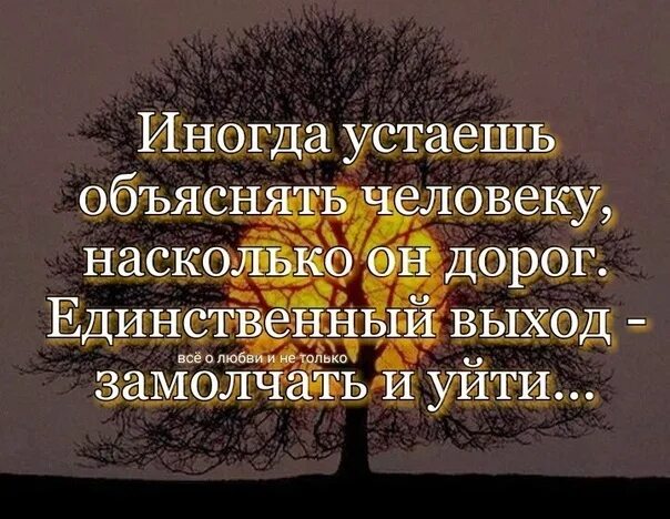 Иногда устаёшь объяснять человеку насколько. Устаешь объяснять человеку насколько он дорог. Иногда достаточно одного слова. Иногда цитаты.