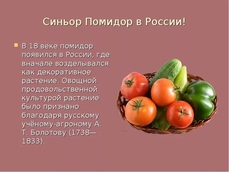 Помидор имя прилагательное подобрать. Рассказ о помидоре. Презентация на тему помидор. Сообщение на тему помидор. Сообщение на тему томат.