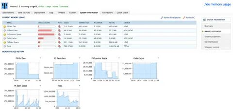 High memory utilization