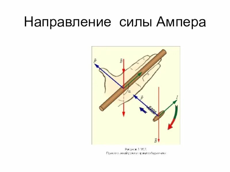 Определите направление силы ампера находящегося. Сила Лоренца сила Ампера рис. Направление силы Ампера левой руки. Направление силы а пера. Направление силы Ампера рисунок.