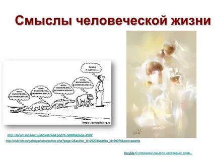 Суть человеческой жизни