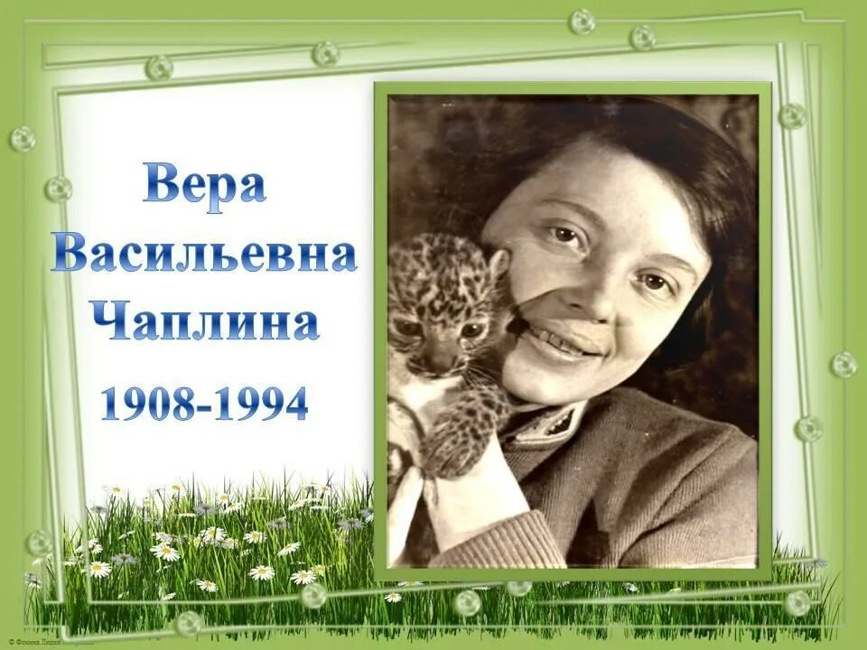Чаплина погода. Чаплина погода. Чаплина погода. Чаплина писатель. Чаплина писательница.