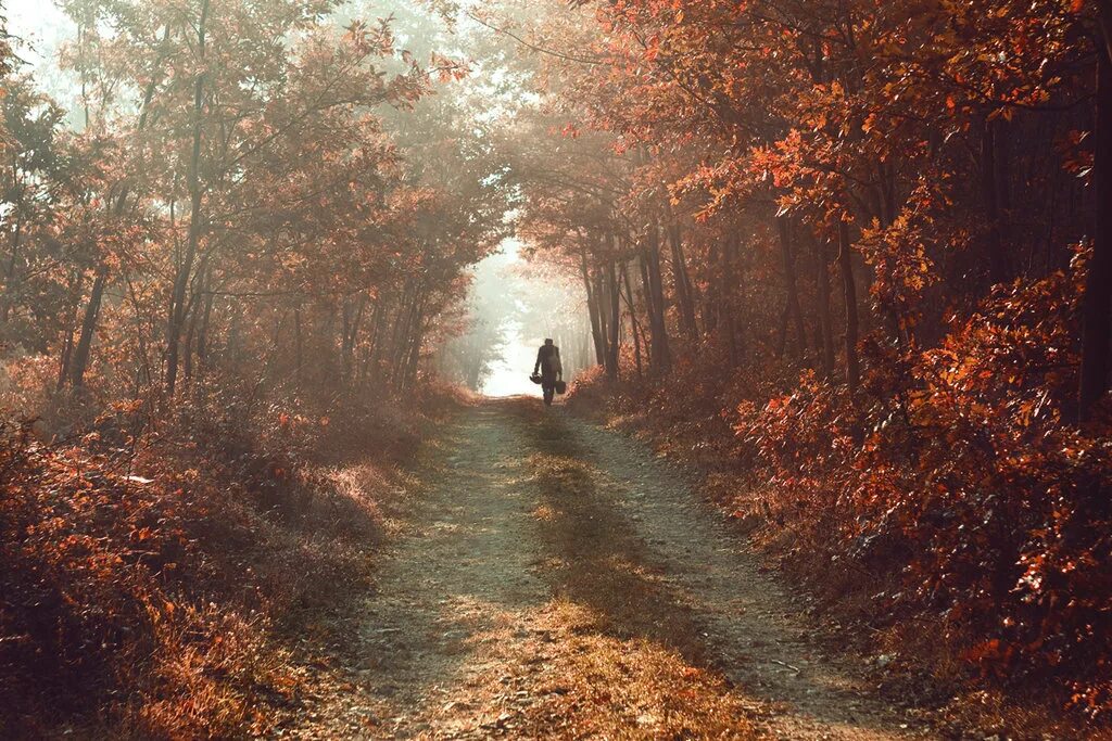 Уходящий вечер октября. Осень дорога человек. Осень одиночество. Тропинка уходящая в осенний лес. Одинокий лес.
