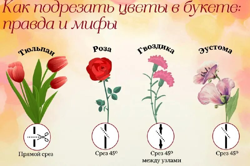 Каллы в прозрачной вазе. Как подрезать розу чтобы дольше стояла. Как подрезать розу чтобы дольше стояла. Что сделать чтобы цветы простояли дольше в вазе. Как подрезать розу чтобы дольше стояла.