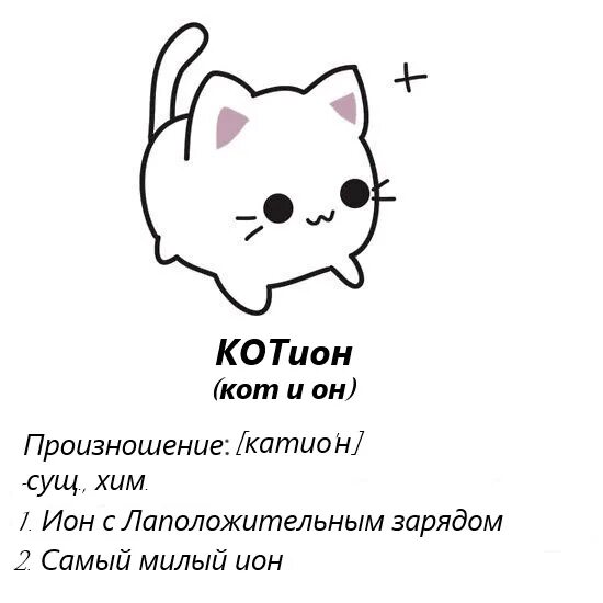 Ваша домашняя кошка хищник инфографика. Кот как произносится. Кот как произносится. Остров на шведском мем. Мем котик химия.
