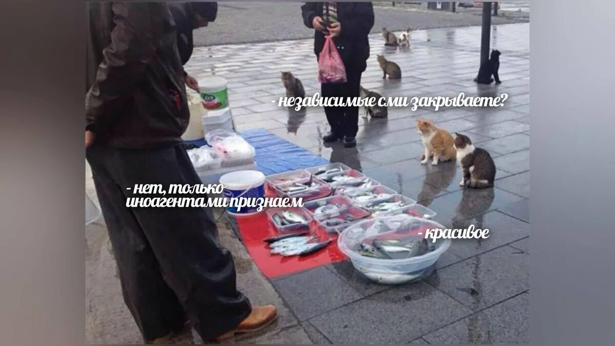 Просто сможешь показать