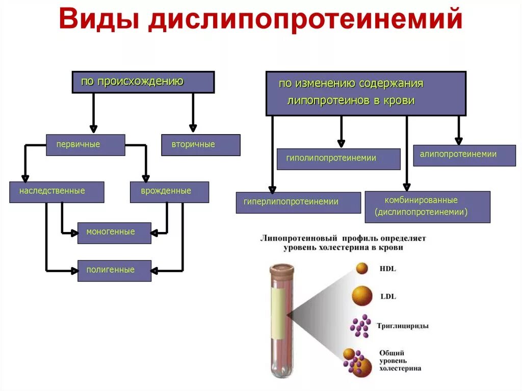 Нарушение обмена липопротеидов. Дислипопротеинемии механизмы развития. Дислипопротеинемия механизм развития. Дислипопротеинемии этиология классификация. Дислипопротеинемия этиология.