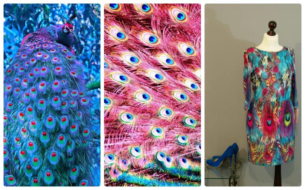 Стильные аппликации на одежду. Платье из павлиньих перьев. Павлин одежда. Летние платья павлин. Платье павлин peacock dress.