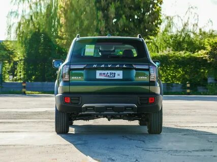 Haval big dog