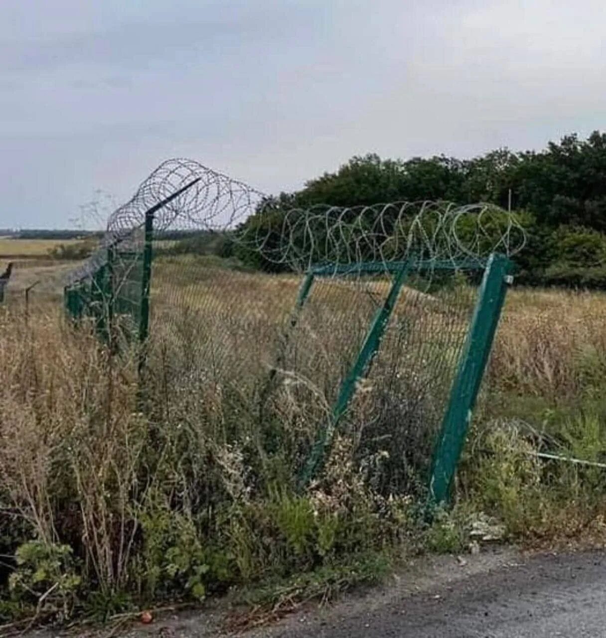 Как выглядит граница с украиной. Забор Яценюка. Стена Яценюка 2022. Яценюк забор на границе. Забор Яценюка между Россией и Украиной.