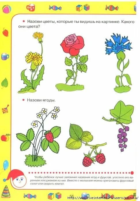 Задания с цветами для дошкольников. Цветы задания для детей. Цветы задания для детей. Занятие про цветов. Цветы задания для детей 4-5 лет.