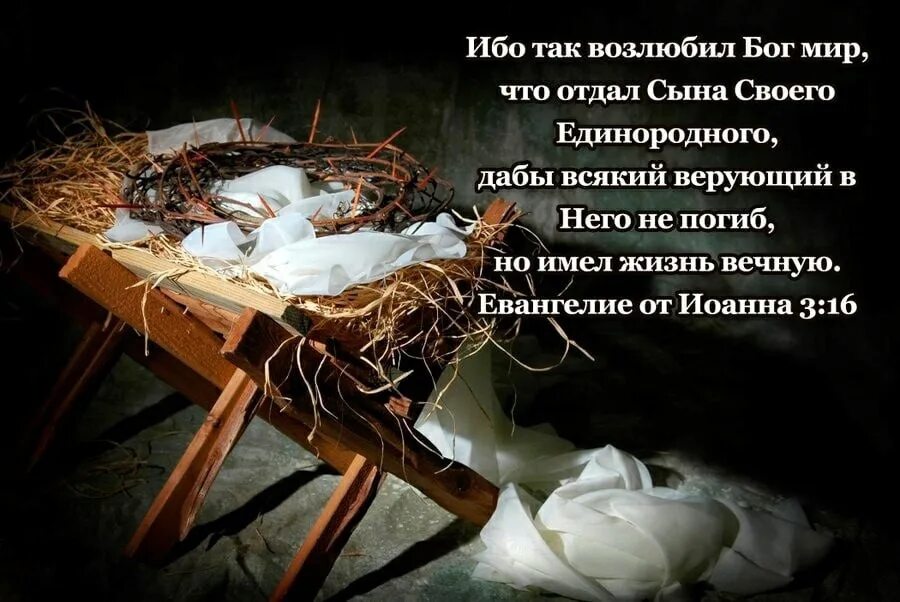 Bible john case. 3 16 библия. John 3:16 bible. Ибо так возлюбил бог мир. Отдал сына своего единородного.