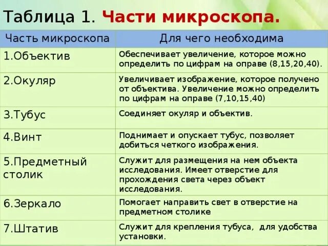 Какая функция тубуса в микроскопе. Таблица 1 части микроскопа. Строение микроскопа окуляр функция. Строение и функции частей микроскопа. Части микроскопа 5 класс биология таблица.