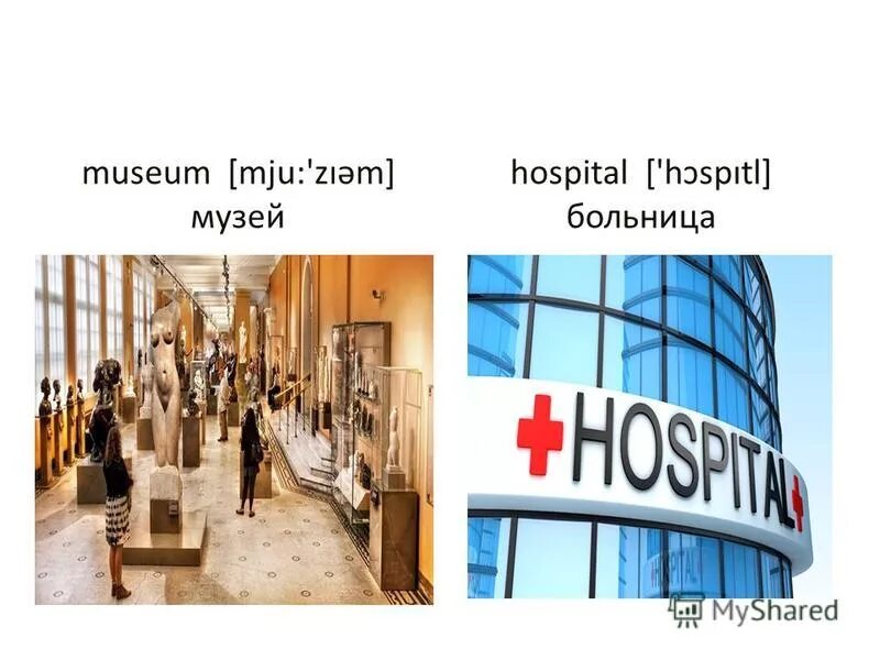 The museum is the hospital. The museum is the hospital
