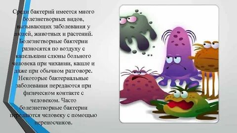 Болезни вызываемые бактериями у животных и растений