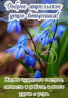 i?id=ec8eab38551b93e9c55c6fca04600de28aea6d50-4485427-images-thumbs&n=13