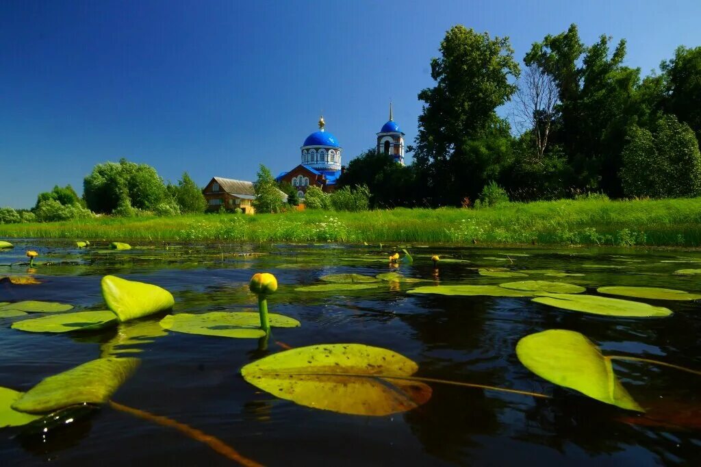 Мещера рязанская область. Парк Мещера Гусь Хрустальный. Мещёра национальный парк. Мещёрский национальный парк Рязанской области. Парк Мещера во Владимирской области.