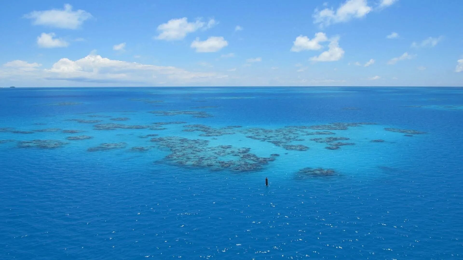 Плимут атлантический океан. Саргассово море Бермудский треугольник. Саргассовы острова. Бермуда Триангл. Саргассово море рифы.