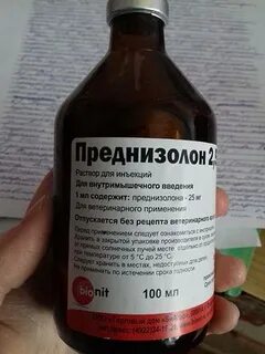 Преднизолон коту
