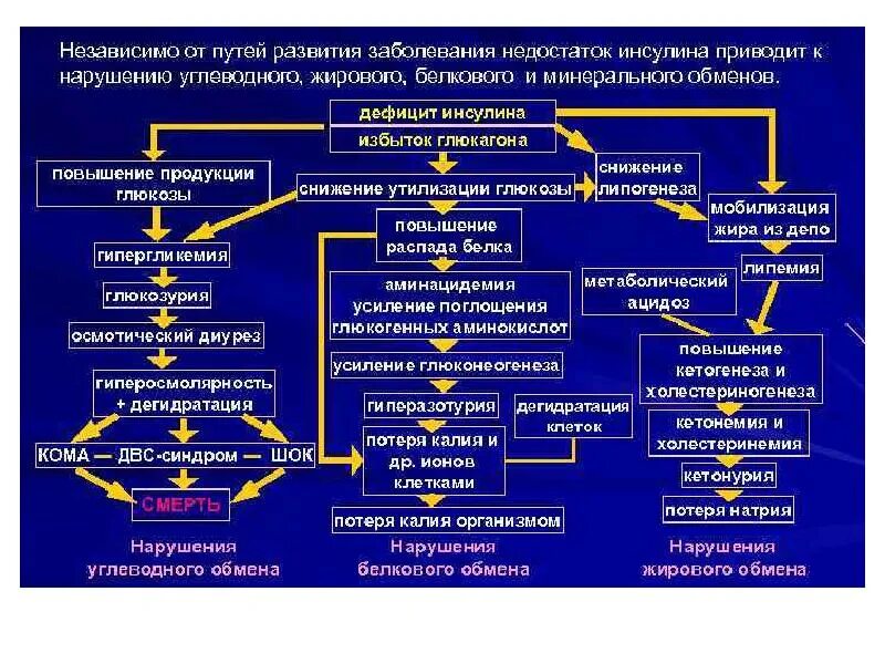 К развитию какой болезни. Нарушение метаболических процессов. Патогенез нарушения углеводного обмена. Механизм развития заболевания. Этиология нарушений белкового обмена.